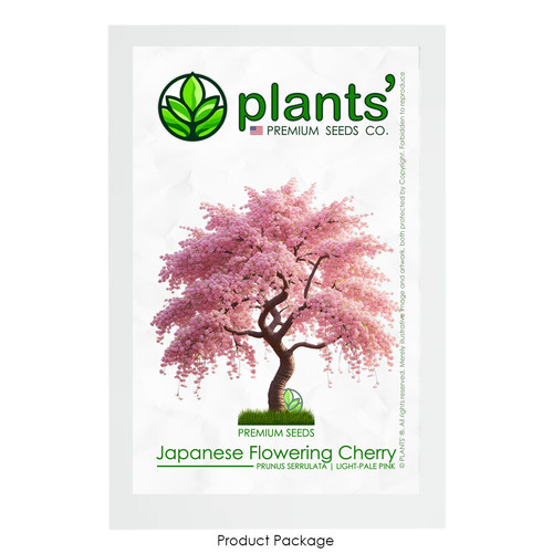 Japanese flowering cherry - japanese,